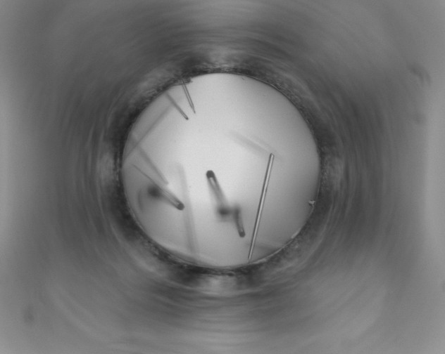 X0000111000220200907022144