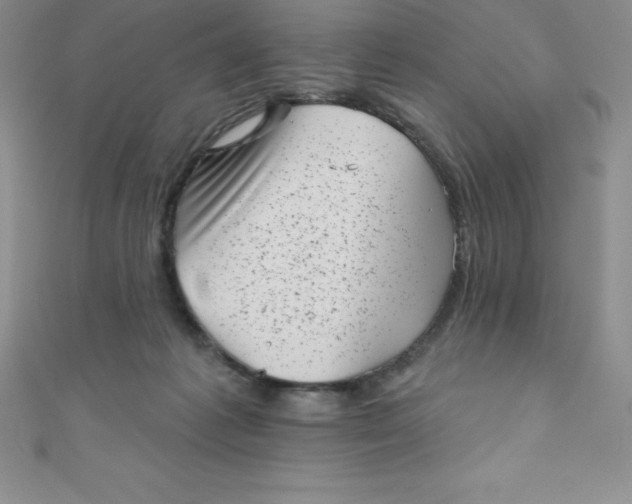 X0000111000221200907022144