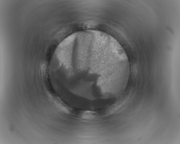 X0000111000222200907022144