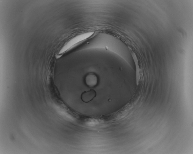 X0000111000223200907022144