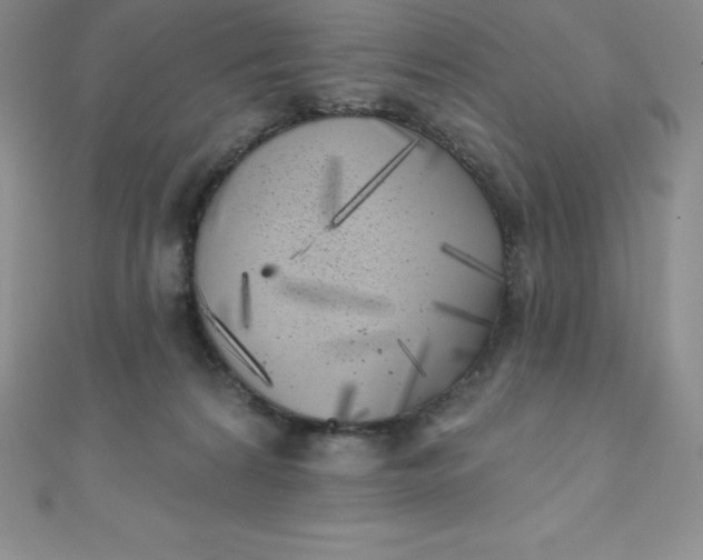 X0000111000224200907022144