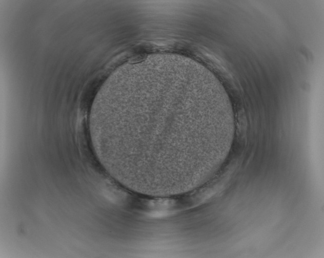 X0000111000225200907022144