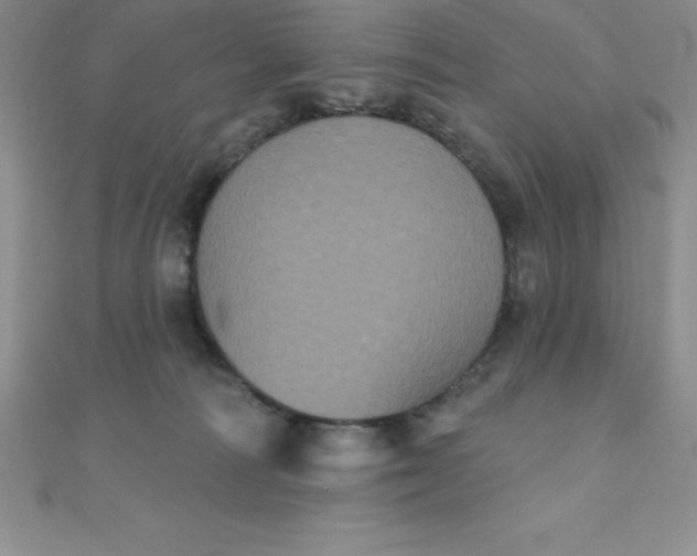 X0000111000226200907022144