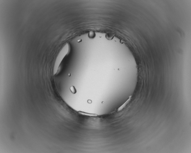 X0000111000227200907022144