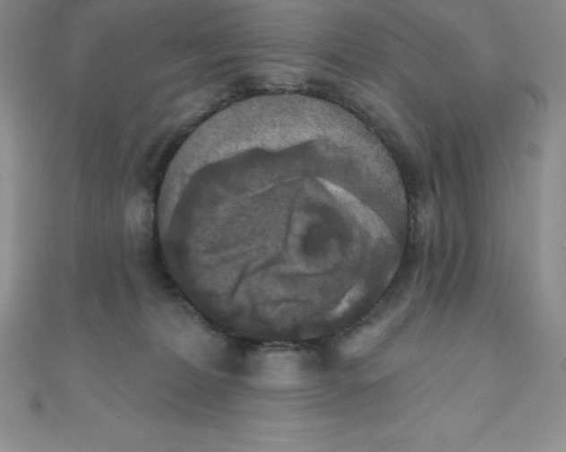 X0000111000228200907022144