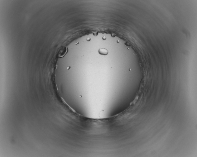 X0000111000229200907022144