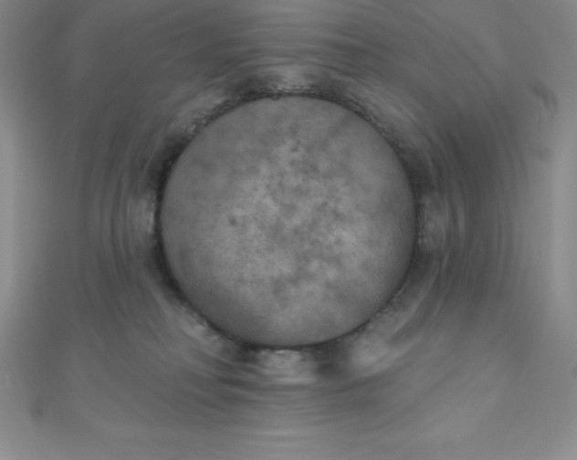 X0000111000230200907022144