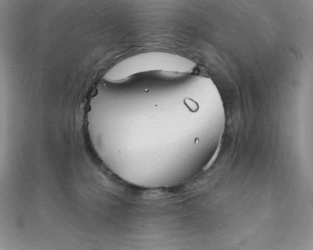 X0000111000231200907022144