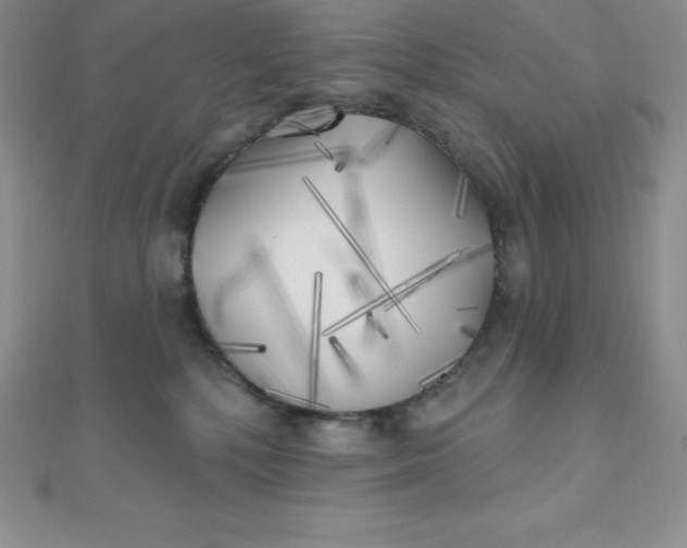 X0000111000232200907022144