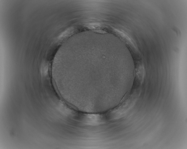 X0000111000233200907022144