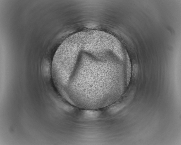 X0000111000234200907022144