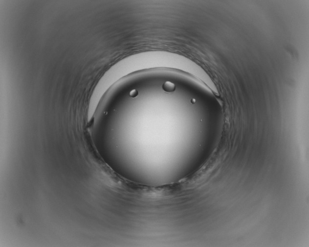 X0000111000235200907022144