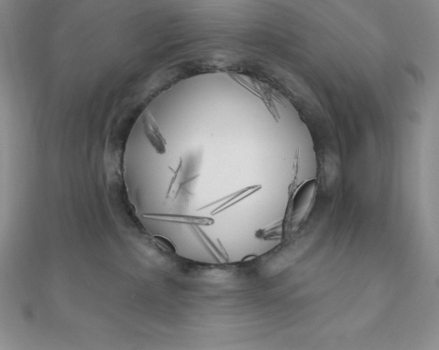 X0000111000236200907022143