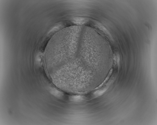 X0000111000237200907022143