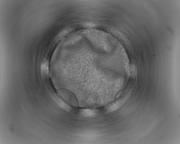 X0000111000238200907022143