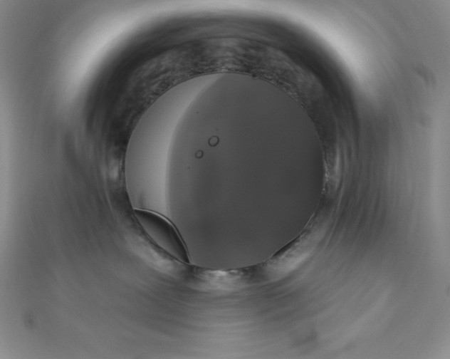 X0000111000239200907022143