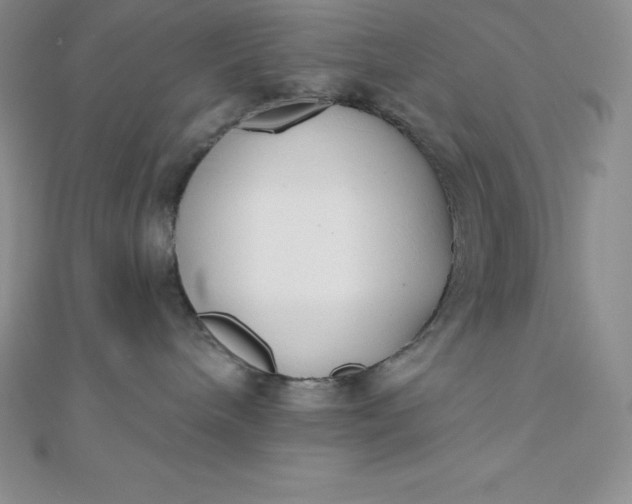 X0000111000240200907022143