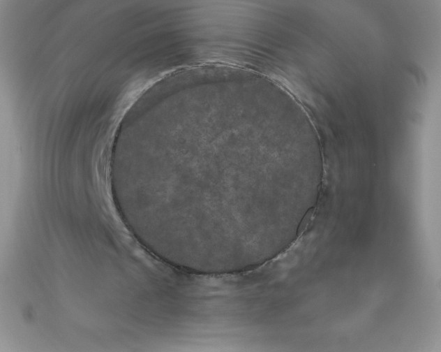 X0000111000241200907022143