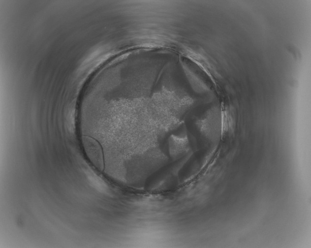 X0000111000243200907022143