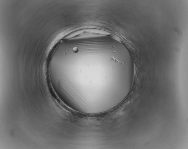 X0000111000244200907022143