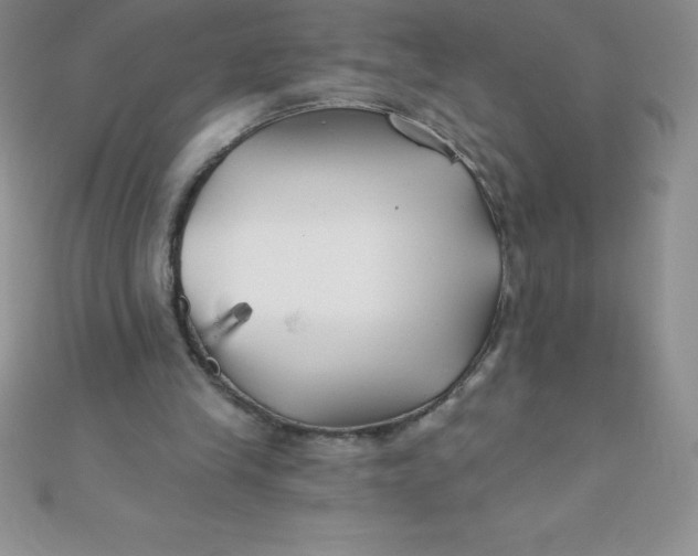 X0000111000245200907022143