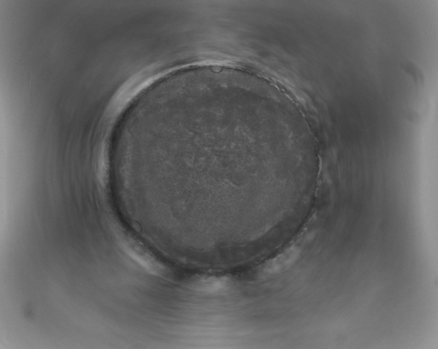 X0000111000247200907022143