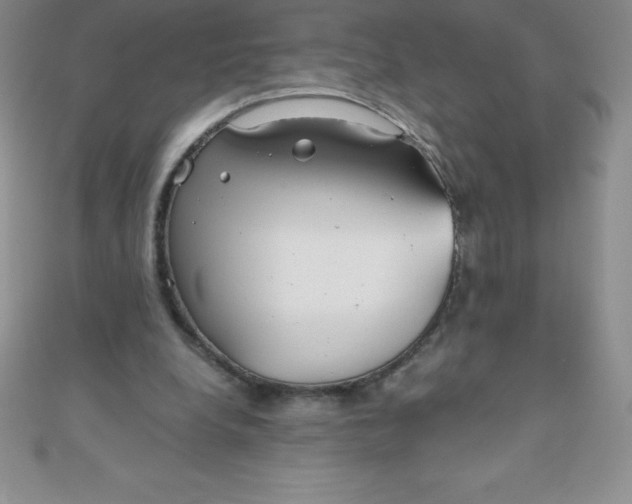 X0000111000248200907022143