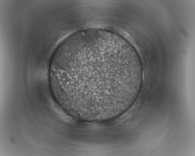 X0000111000249200907022143