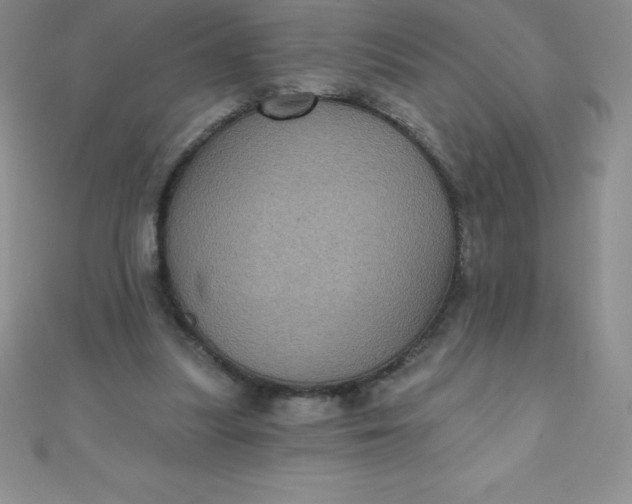 X0000111000251200907022143