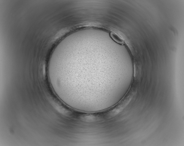 X0000111000253200907022143