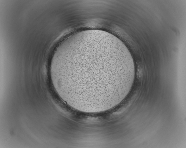 X0000111000256200907022143