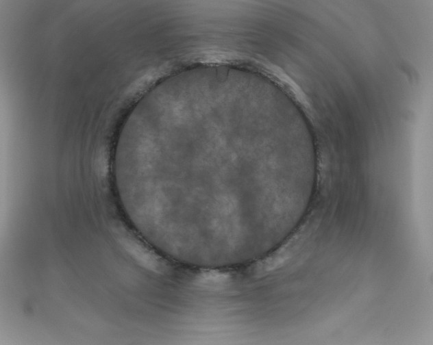 X0000111000257200907022143