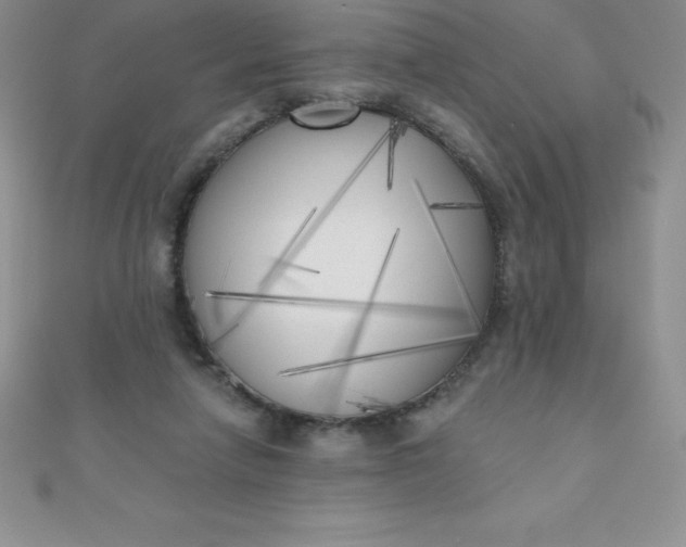 X0000111000258200907022143