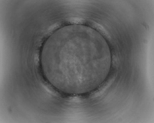 X0000111000259200907022143