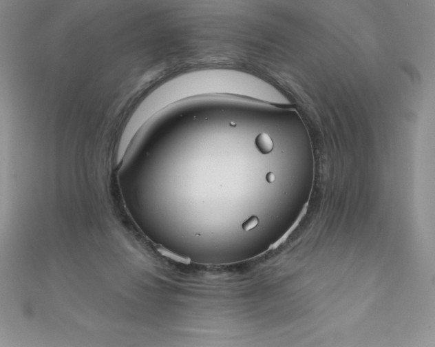 X0000111000260200907022143