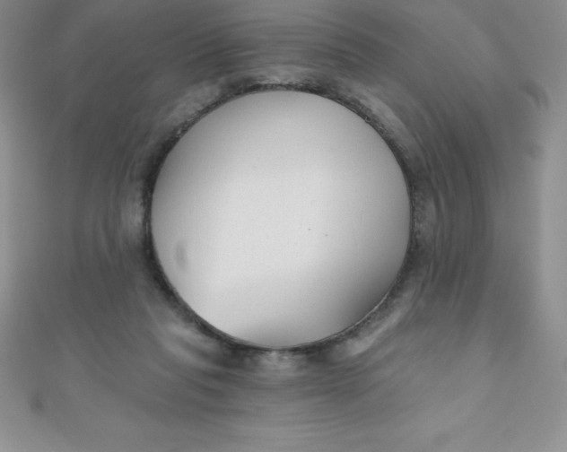 X0000111000261200907022143