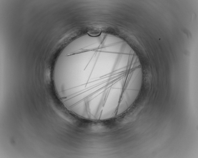 X0000111000262200907022143