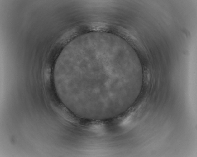 X0000111000263200907022143