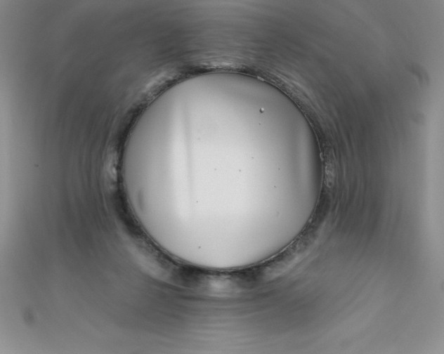 X0000111000264200907022143