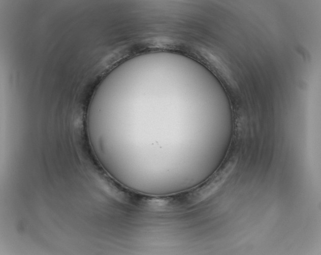 X0000111000265200907022143