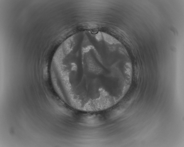 X0000111000267200907022143