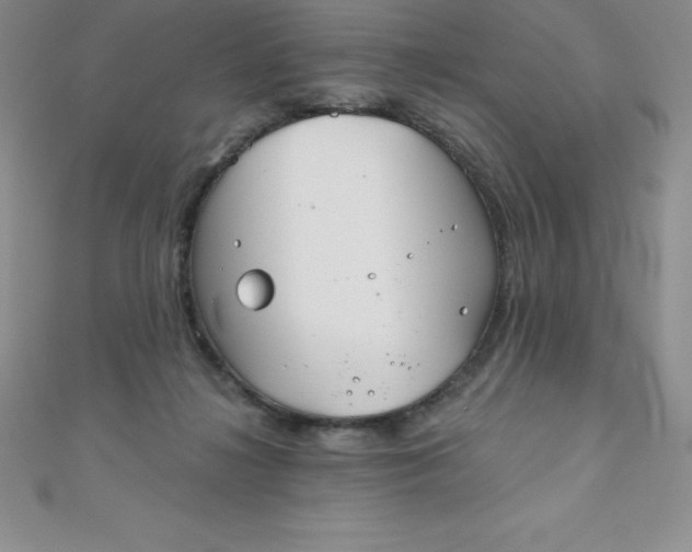 X0000111000268200907022143