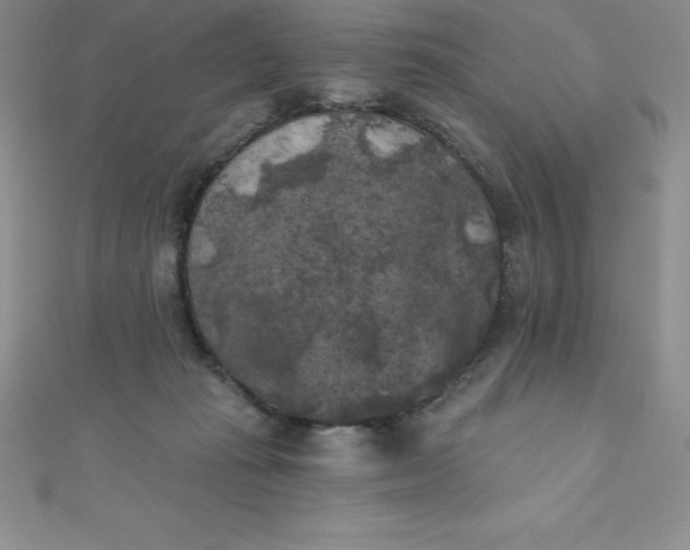 X0000111000269200907022143