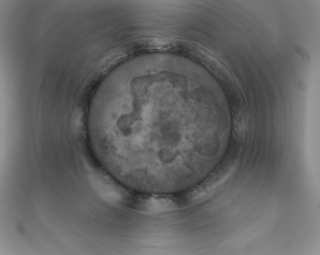 X0000111000270200907022143