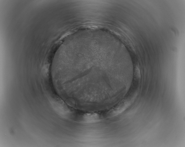 X0000111000271200907022143