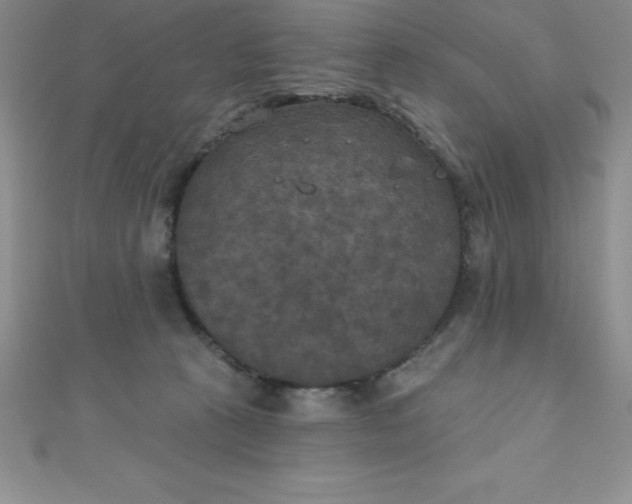 X0000111000273200907022143