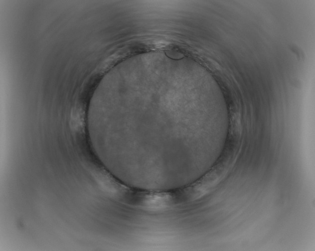 X0000111000274200907022143