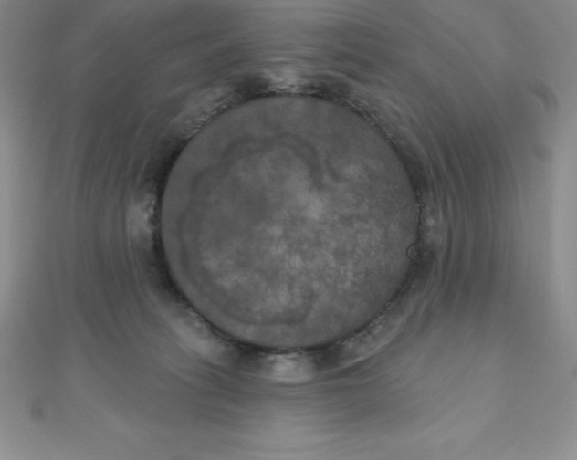 X0000111000275200907022143