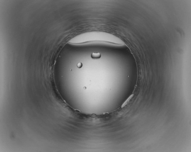 X0000111000276200907022143