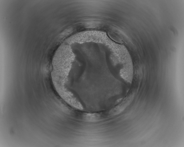 X0000111000277200907022143